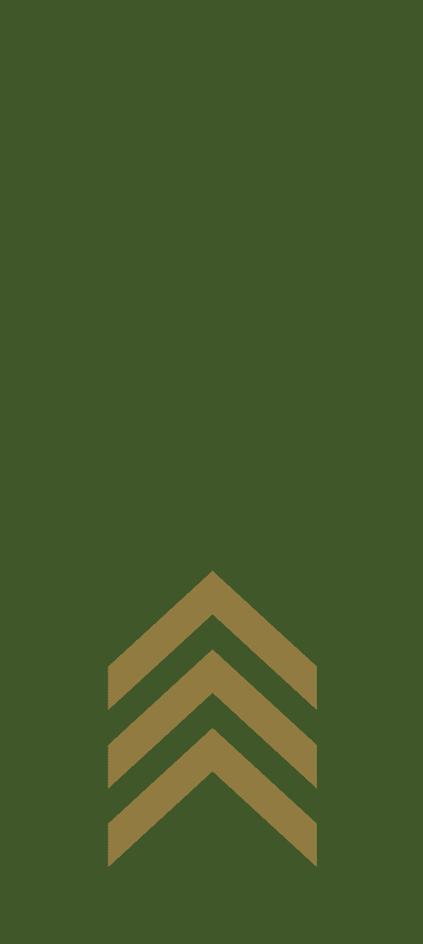 Furir