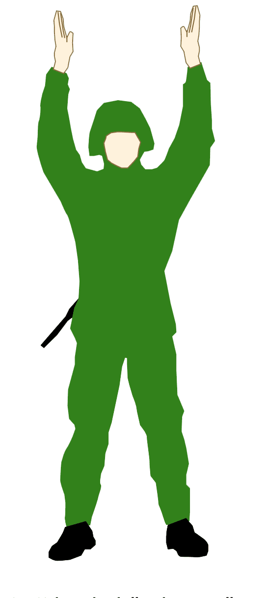 Handtecken: Klart att landa här – kom närmare